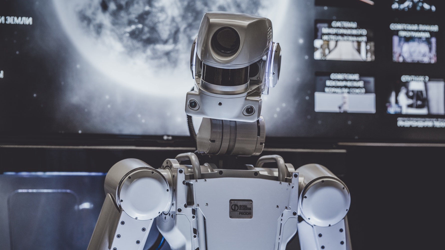 The Robotic World of the Near Future