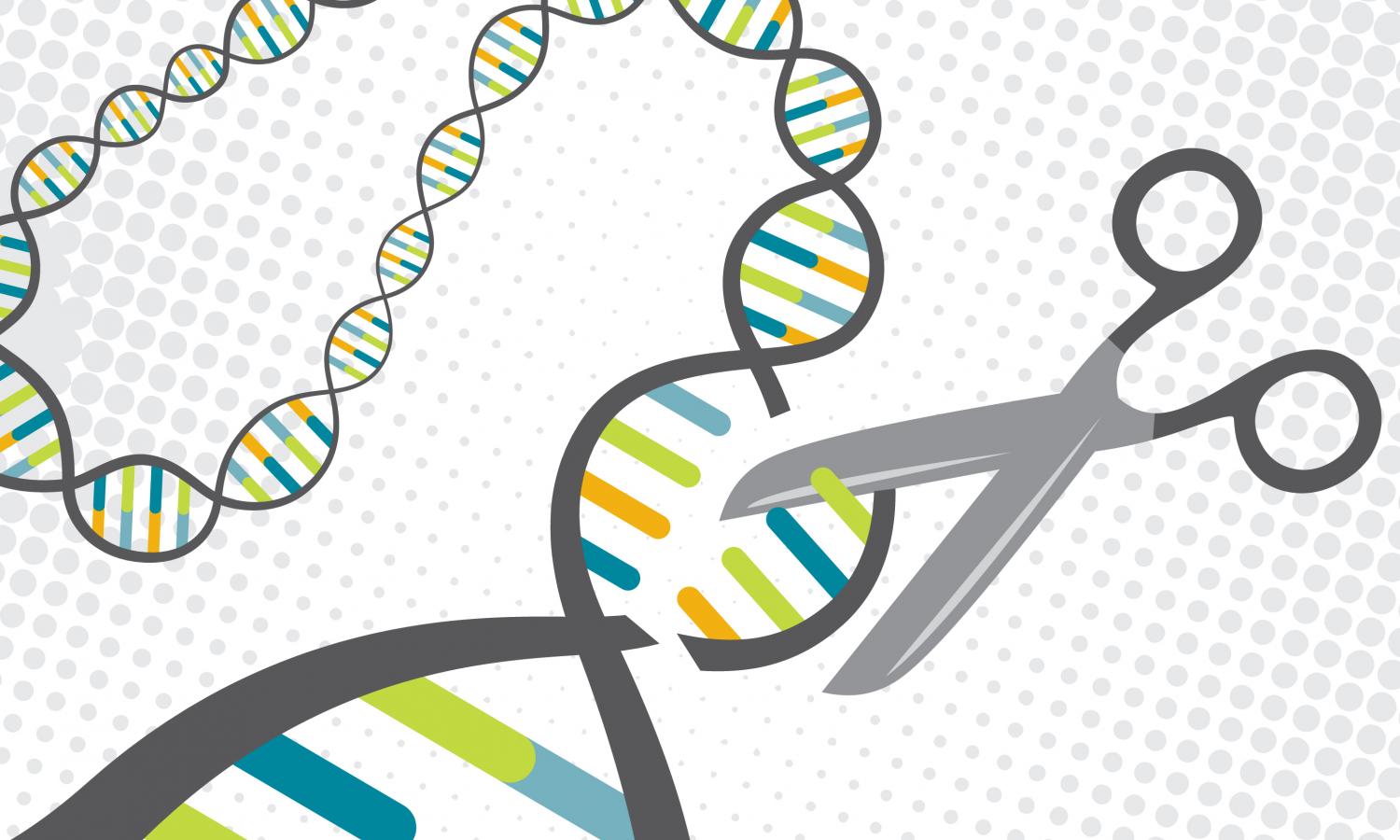 New technique enables safer gene-editing therapy using CRISPR