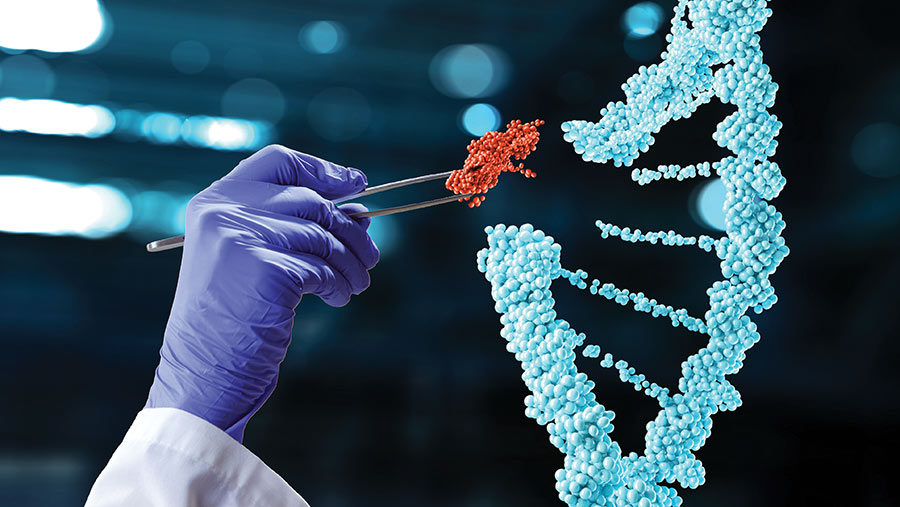 Advantages and Disadvantages of Gene Editing Technologies