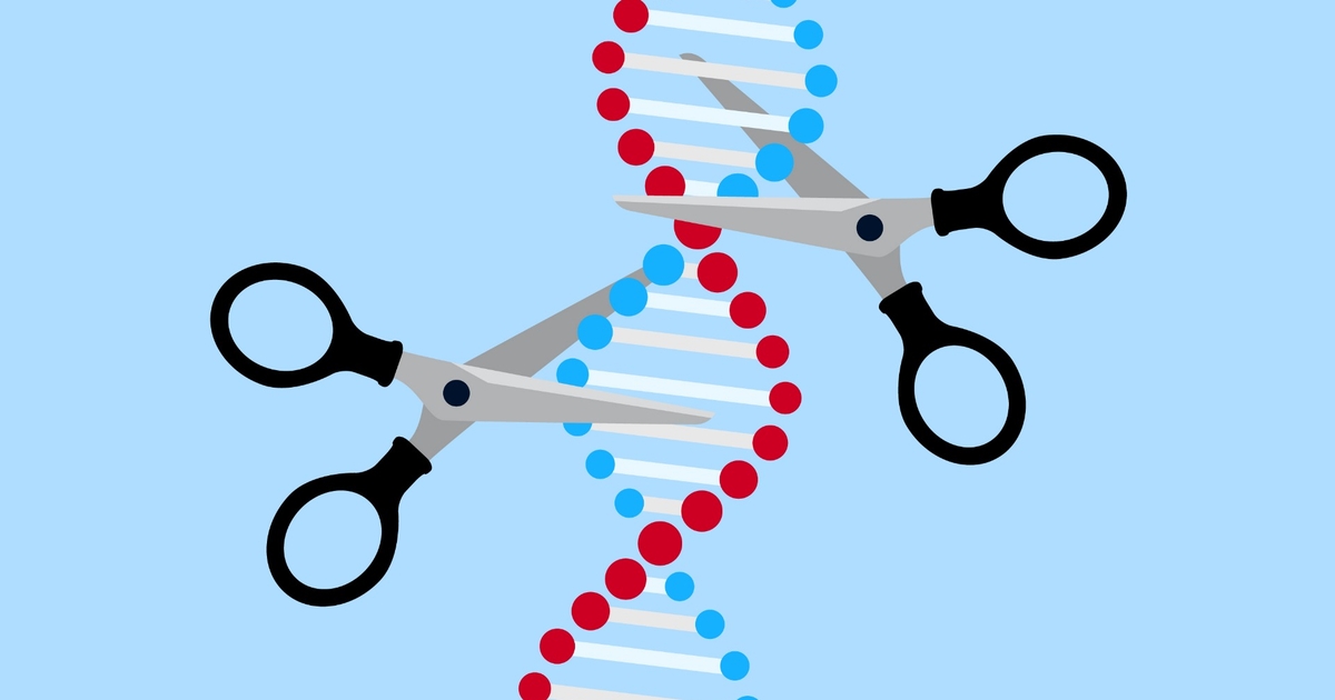 Genome Editing Techniques: The Tools That Enable Scientists to Alter the  Genetic Code