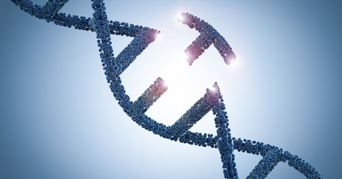 Broad Institute's New Prime Editing Tech Corrects Nearly 90 Percent of  Human Pathogenic Variants | GenomeWeb