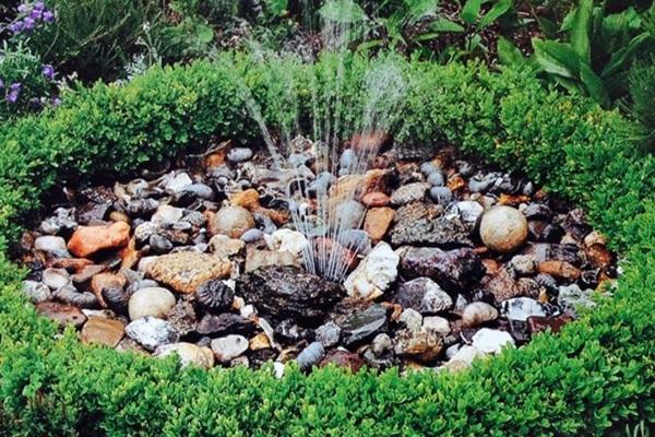 Family-friendly backyard pond
