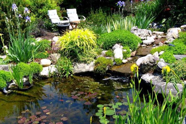 Backyard pond with water circulation