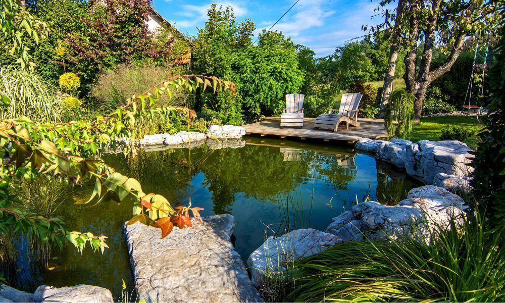 Pond liner installation and garden pond planning