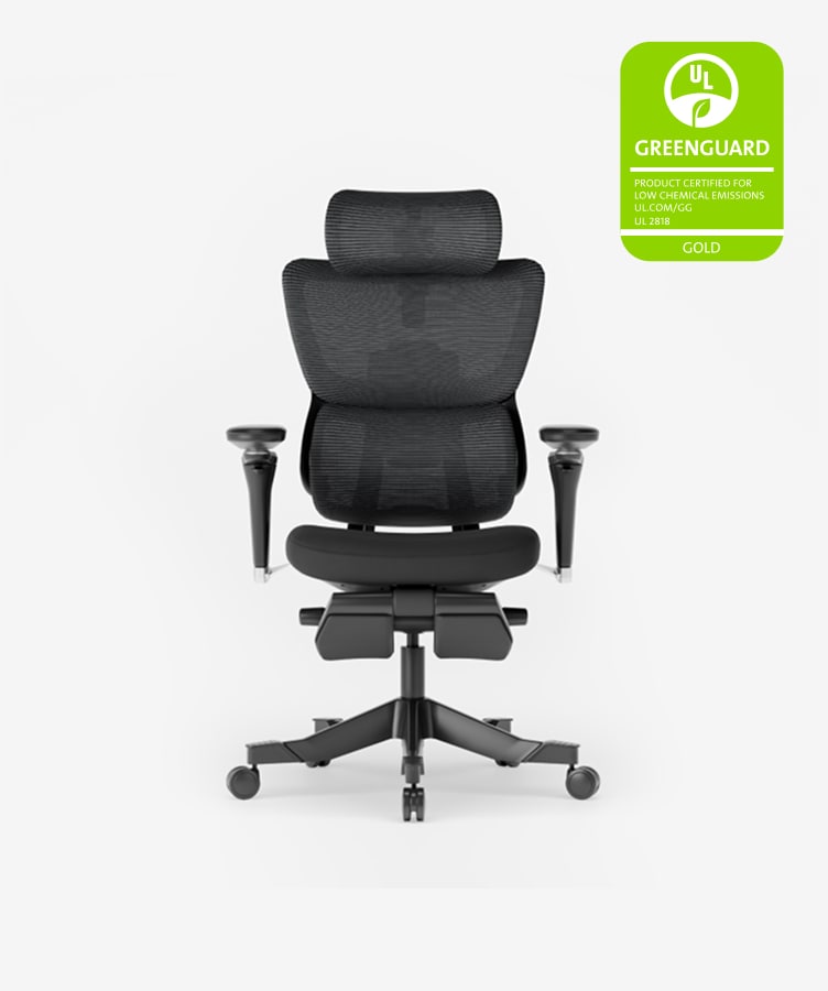 Flexispot C7 Max ergonomic office chair