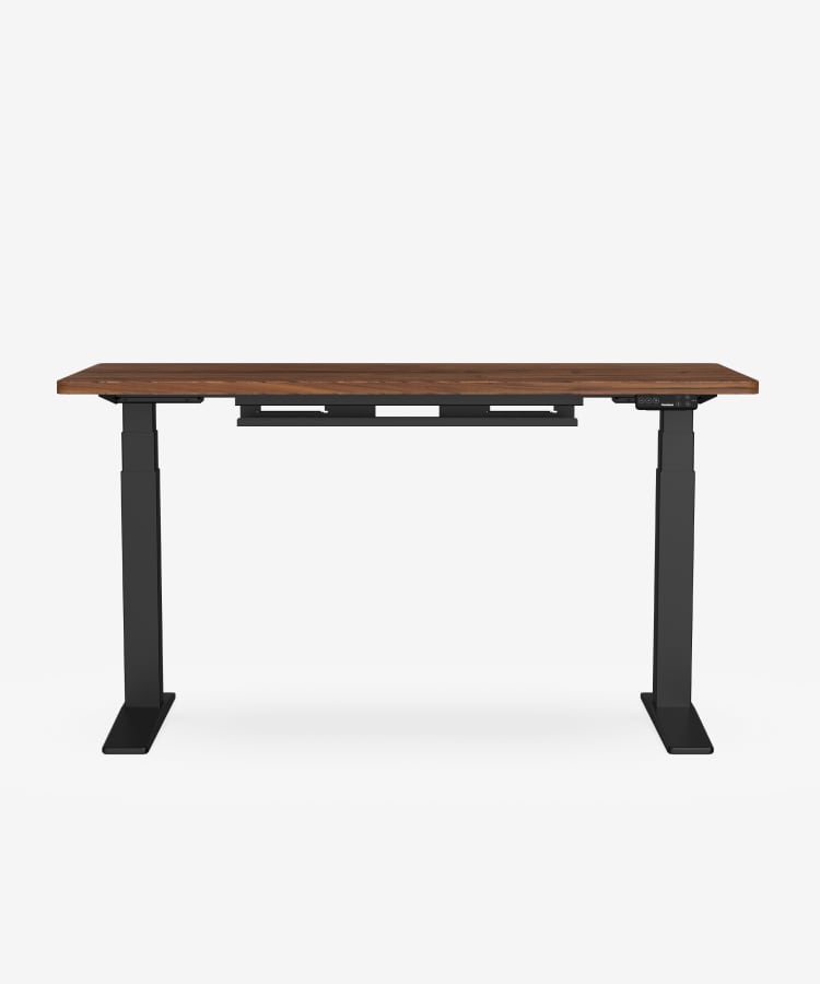 Flexispot E7 Pro standing desk