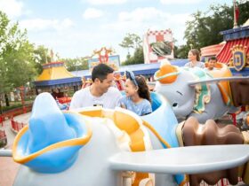 Walt Disney World Resort park scene