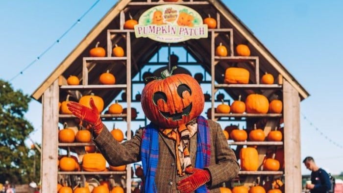 Character backdrop at Avon Valley Pumpkin Patch
