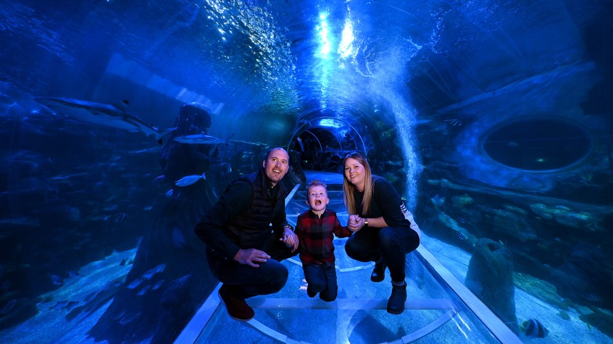 Inside SEA LIFE Birmingham aquarium