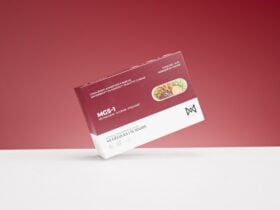 Boîte du complément MGS-1 de Miniweight sur fond clair
