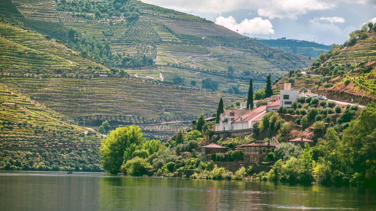 Douro Valley landscape in Portugal
