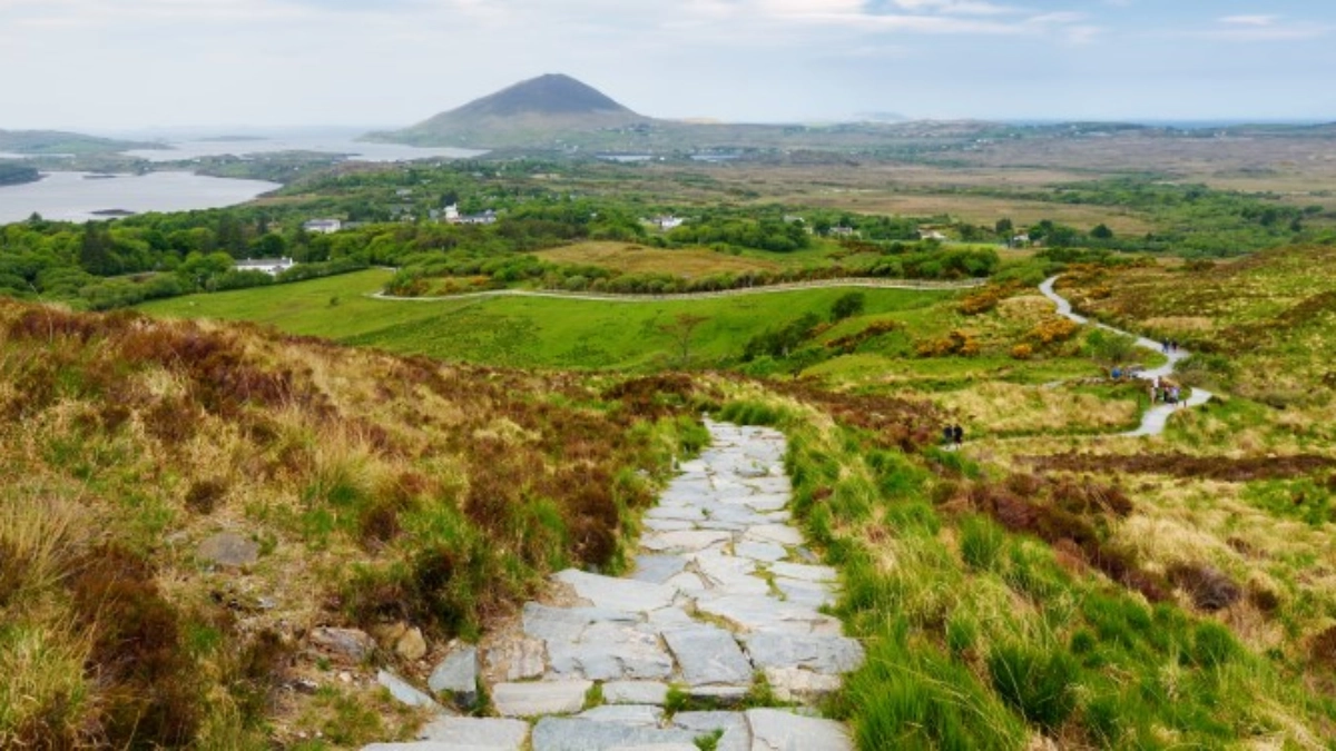 Pathway through the Irish countryside
