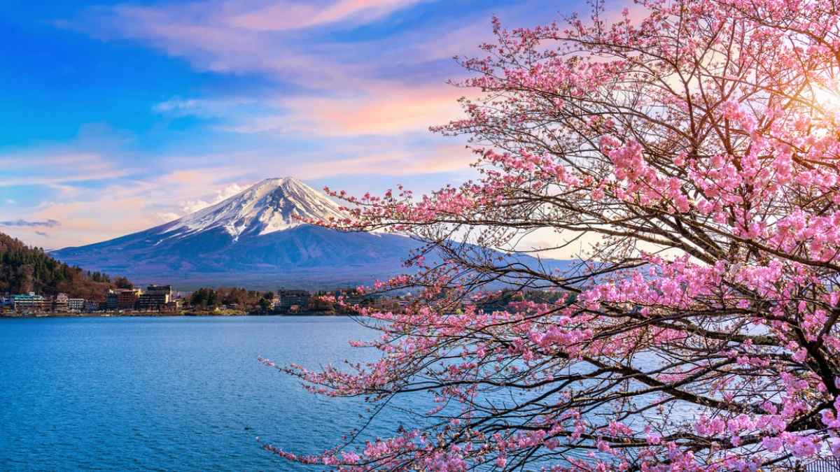 Japanese street and architecture in a travel scene