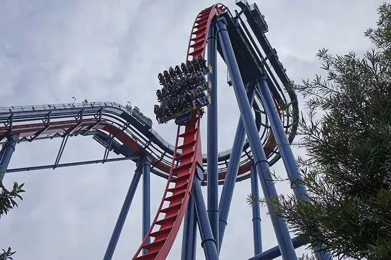 SheiKra roller coaster at Busch Gardens Tampa Bay