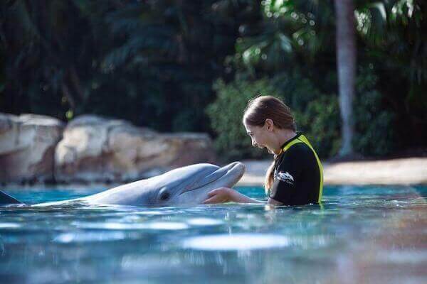 Discovery Cove resort scene