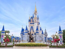 Walt Disney World Resort castle and park scene